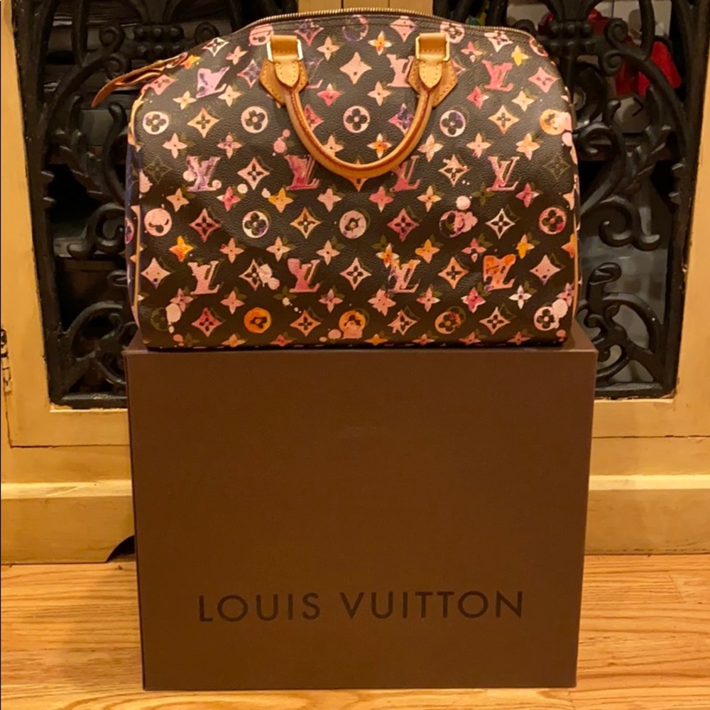 Louis Vuitton 🦄 watercolor aquarelle Speedy 35